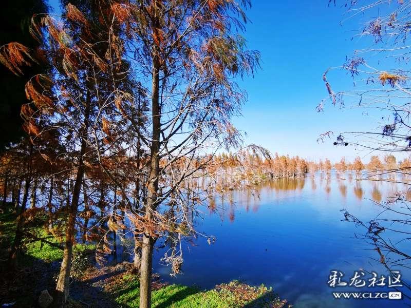 周恩来忌惮蒋介石身边什么人？游戏画面