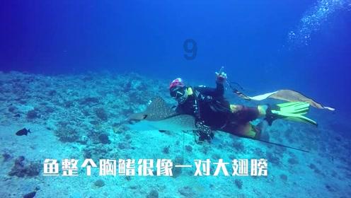 逃离遗弃的建筑4